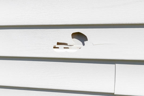  , USA Siding Installation Pros